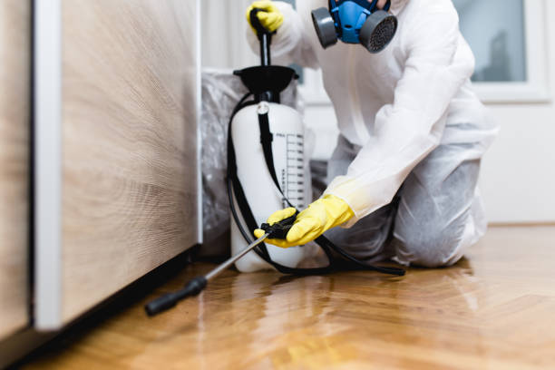 Best Emergency Pest Control  in Squirrel Mountain Valley, CA