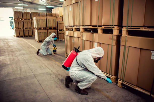 Best Residential Pest Control  in Squirrel Mountain Valley, CA