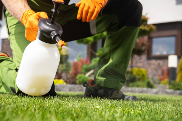 Best Pest Inspection Near Me  in Squirrel Mountain Valley, CA
