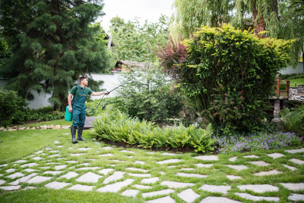Best Insect Control  in Squirrel Mountain Valley, CA