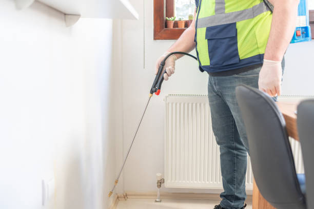 Pest Prevention Services in Squirrel Mountain Valley, CA