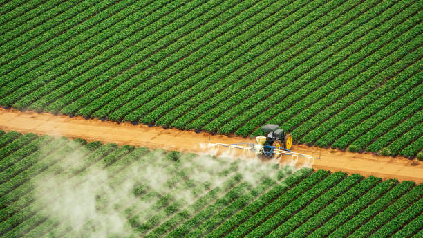 Best Commercial Pest Control Services  in Squirrel Mountain Valley, CA